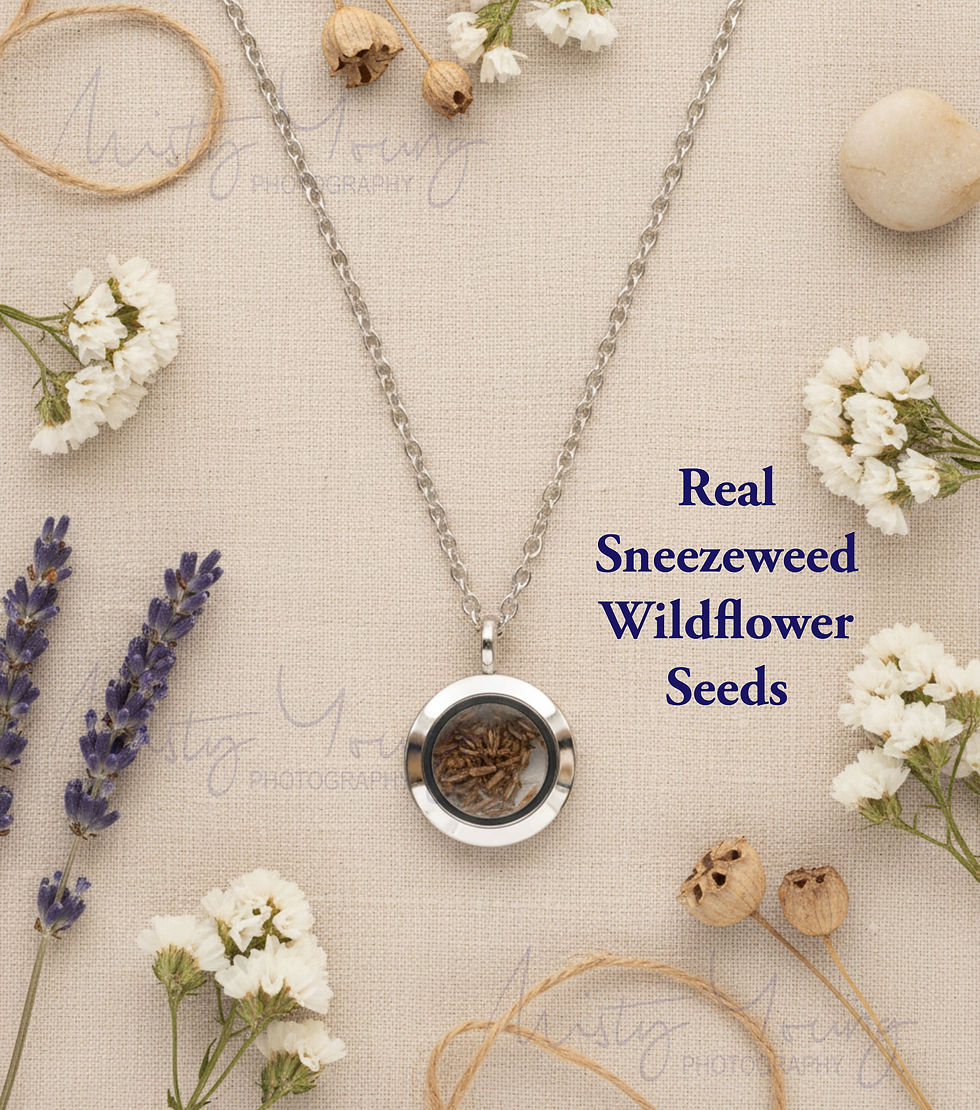 Stainless Steel Floriography Sneezeweed Wildflower Necklace