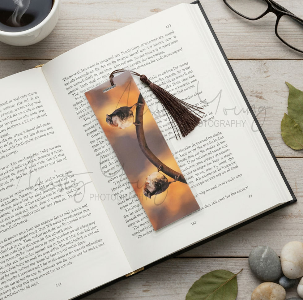 Thumbnail: Elegant laminated handmade bookmark with a close up image of a small House Sparrow & tassel