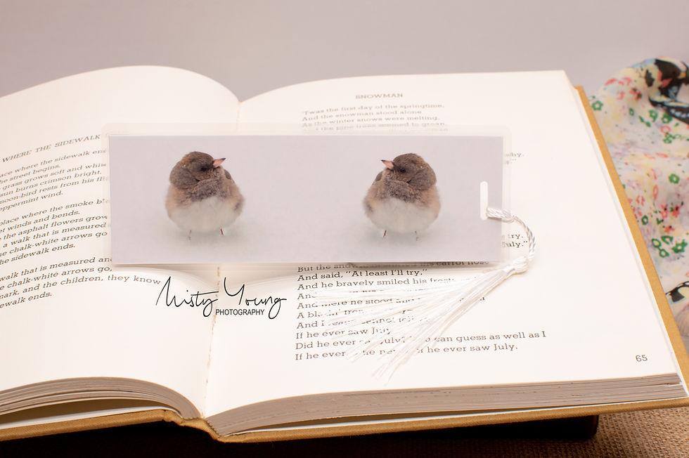 Thumbnail: Elegant laminated bookmark a close up image of a Dark Eyed Junco & tassel. Double-sided, laminated