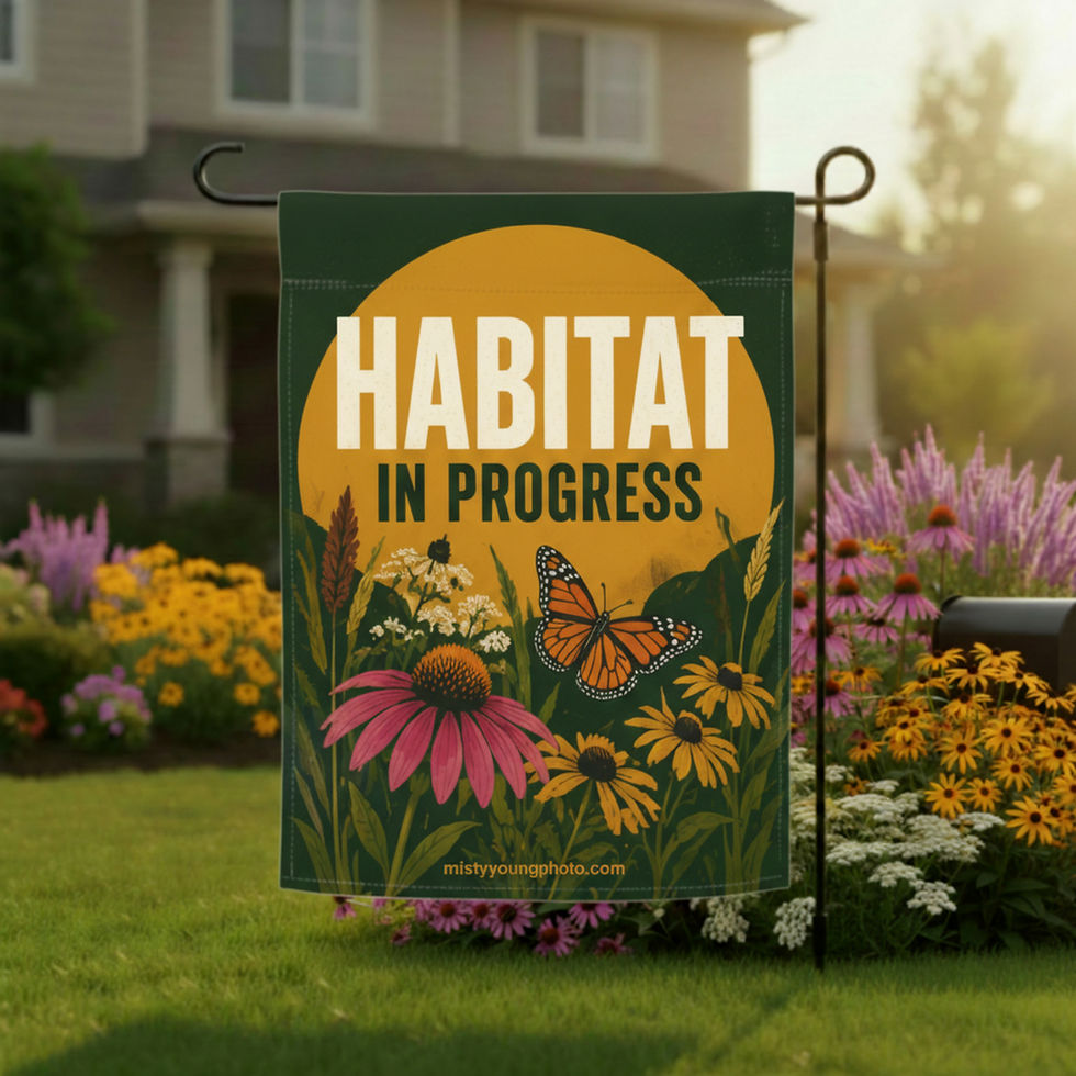 Habitat in Progress garden flag monarch butterfly, orange sun, olive green background