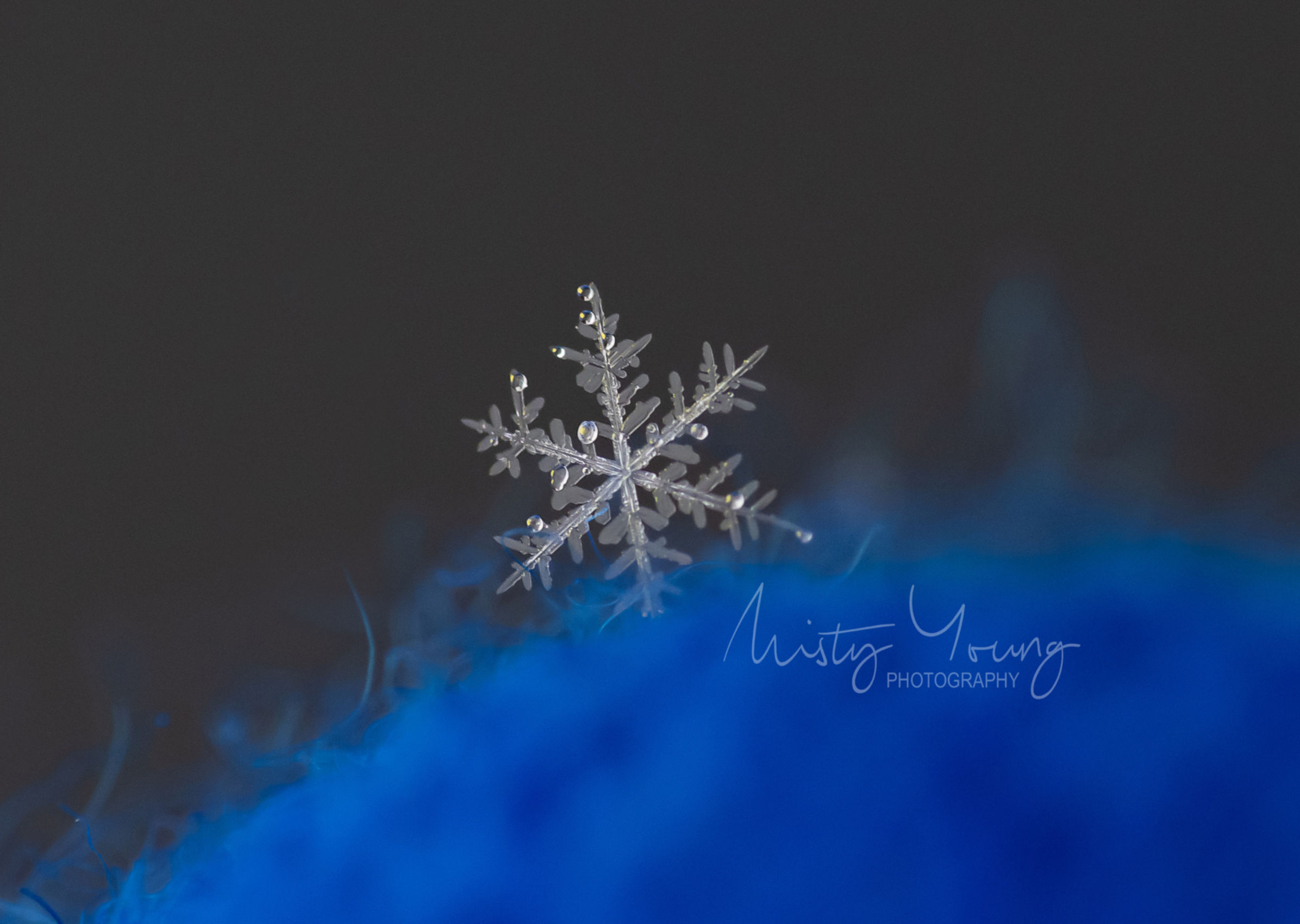 Kraft Paper or White Cardstock Greeting Cards (Set of 4) - Snow & Ice Collection