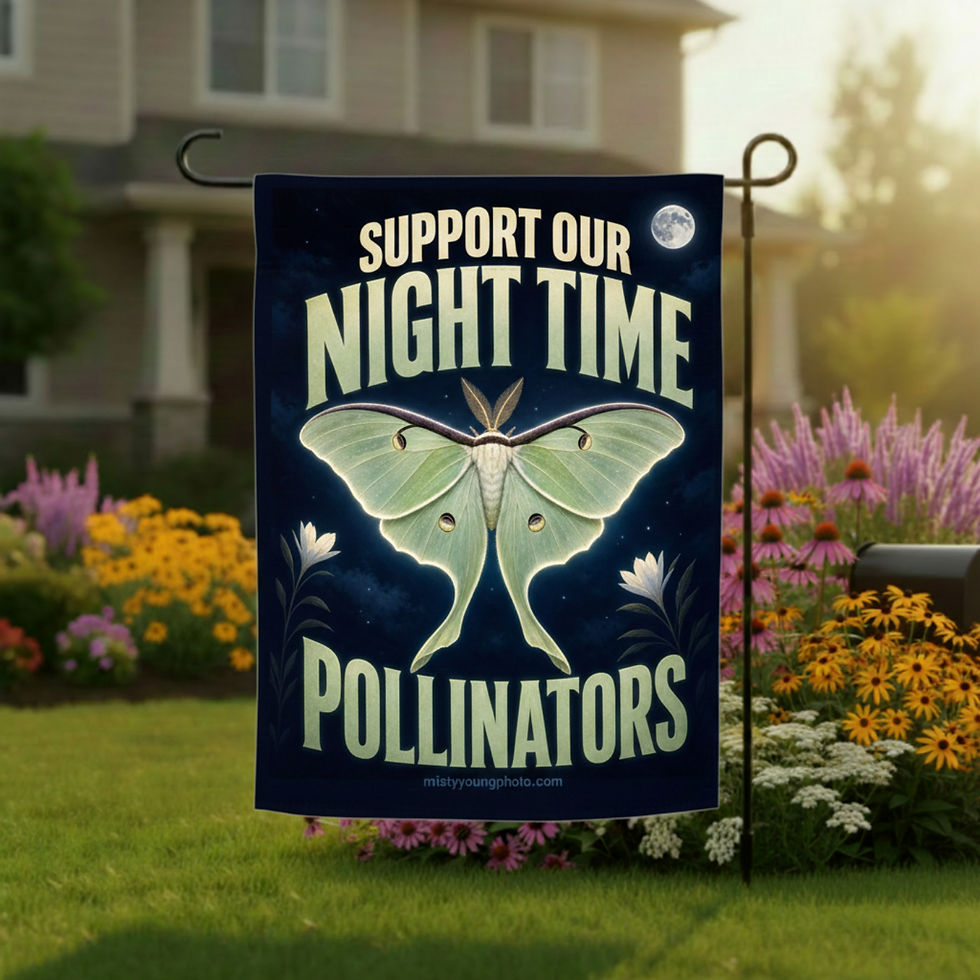 Support our Night Time Pollinators Luna Moth Garden Flag