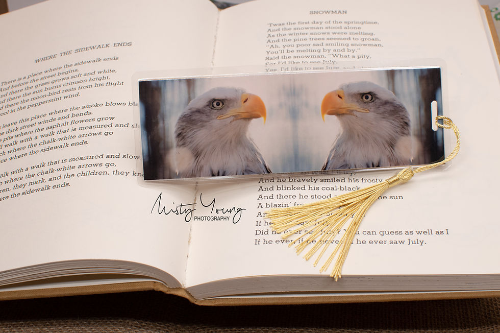 Thumbnail: Elegant laminated bookmark a close up image of a Bald Eagle & tassel. Double-sided, laminated