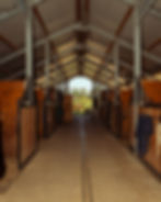 equus ranch asd