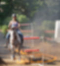 LRG_DSC01960.JPG