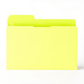 light lime green folder with white background.jpg
