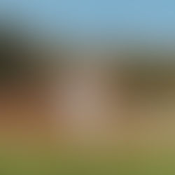 Watervliet Press Box