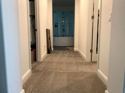 good carpet photo (website).jpg