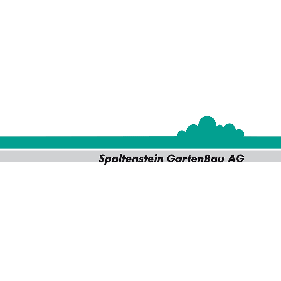 Spaltenstein