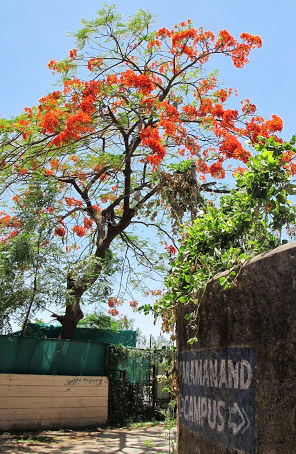 “just let it happen”; tuktuks and village talks
