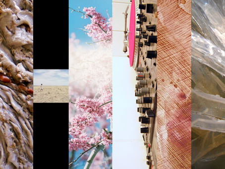 Transitions
