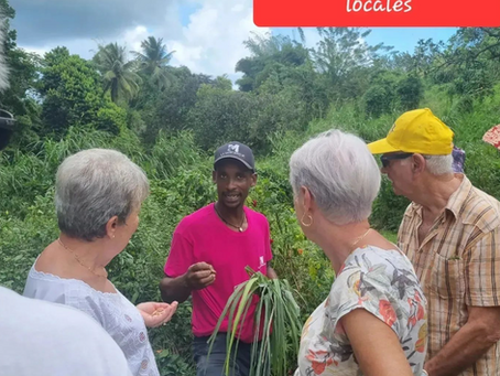SAVEURS ET TRADITIONS ANTILLAISES !