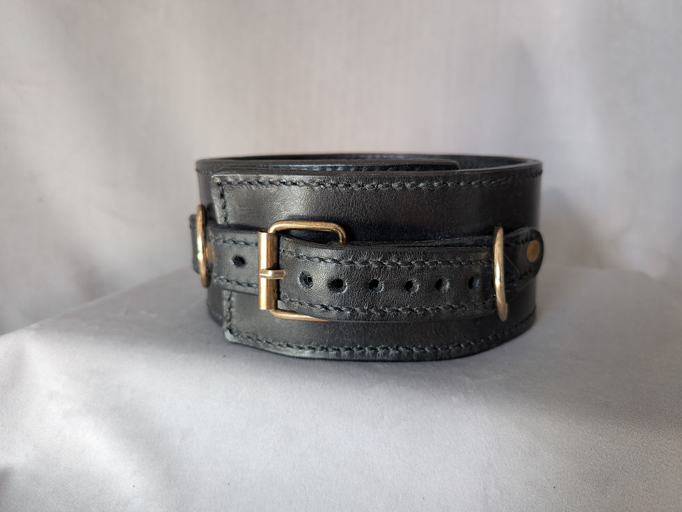 Black leather Control collar with brass ring and punched eyelets on the strap