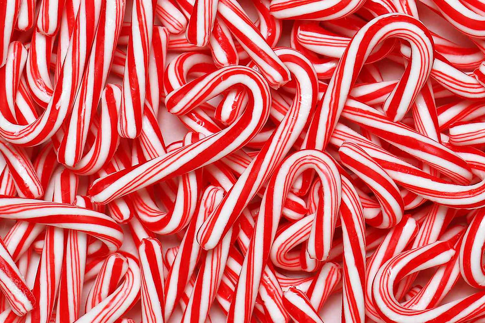 Can Your Dog Eat Peppermint And Other Holiday Treats can-your-dog-eat-peppermint-and-other-holiday-treats
