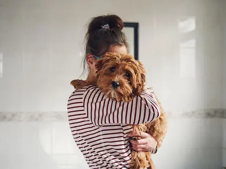 Does Your Dog Have Your Personality?