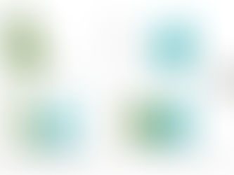 Beyond the Buzzwords: Why Functional Mushrooms Need a Standardized Future