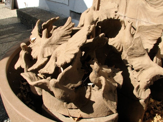 Nascent Mourning Doves