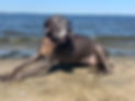 IMG_2658.jpeg