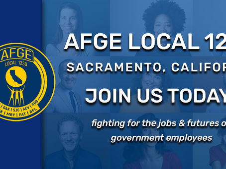 Welcome to the New AFGE 1230 Website