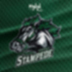 Rough Riders Stampede Football