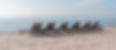 Beach Beds_edited.jpg