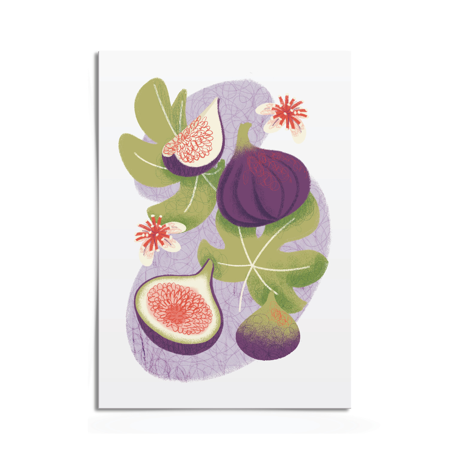 Illustrated fig print by Keri Green Illustrator, the perfect foodie gift, in purple and green