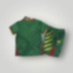Thumbnail: CAMEROON - JERSEY SET HOME 25/26 KIDS  - GREEN