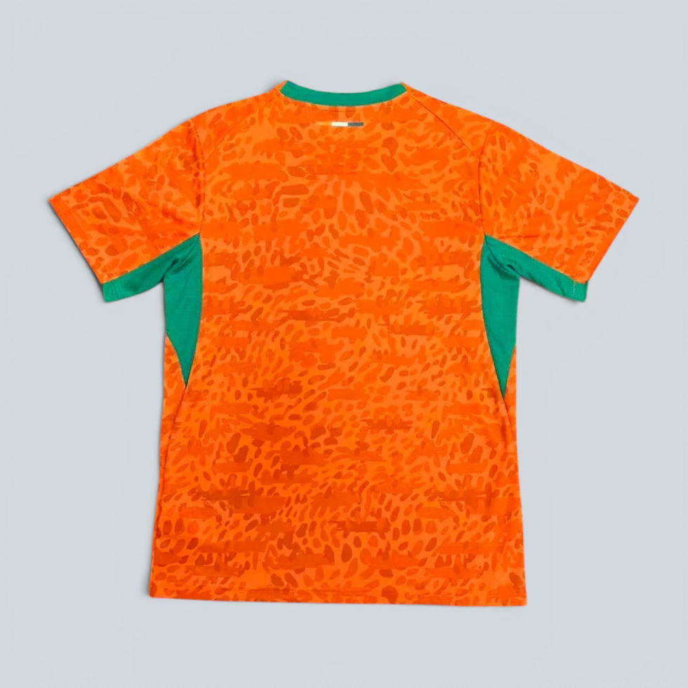 Thumbnail: CÔTE  D’IVOIRE- FIFA WORLD CUP JERSEY - WHITE , GREEN