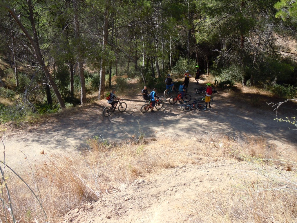 Sierra MTB 17093 (62)