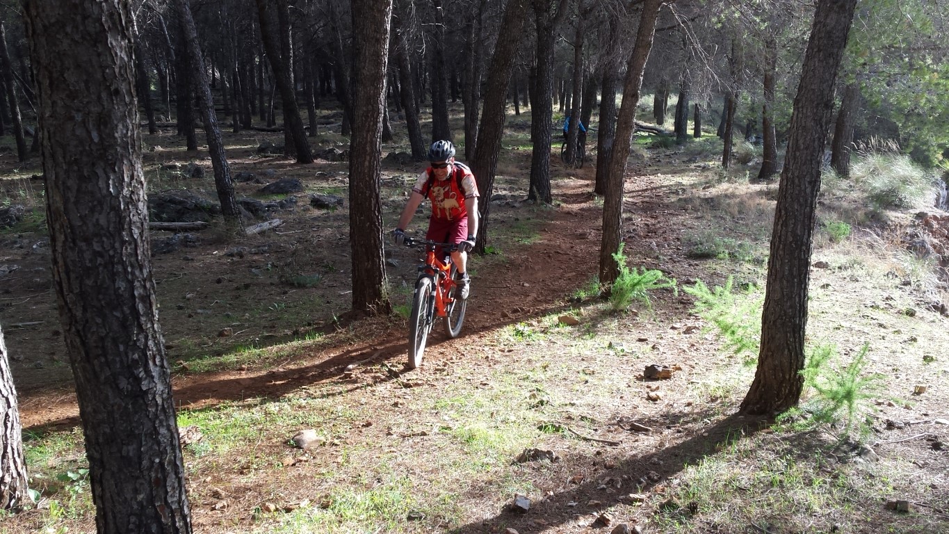 Sierra MTB 16112 (14)