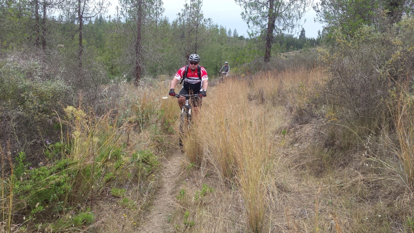 16051 - Sierra MTB (7)