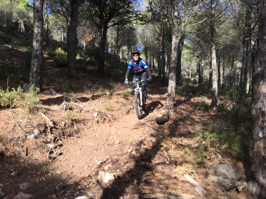 18014 (4) Sierra MTB
