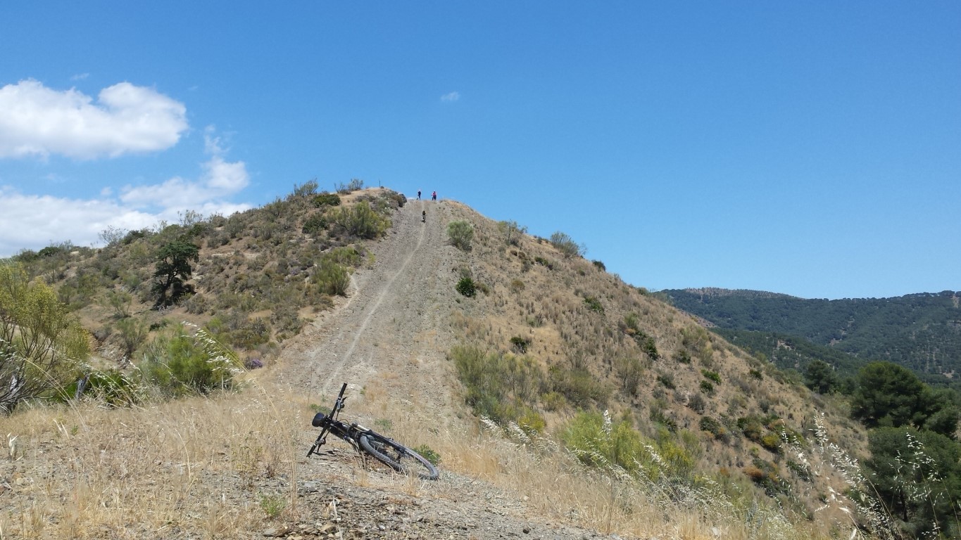 Sierra MTB 16063 (11)