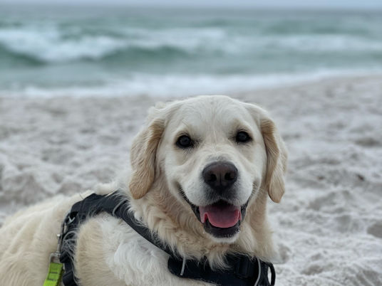 Destin and Pensacola - the Florida Panhandle