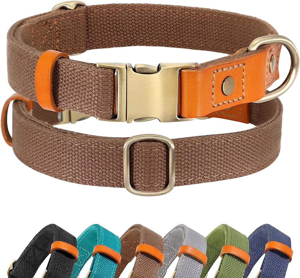 Thumbnail: Paws Rise Fino Vegan Leather Collar
