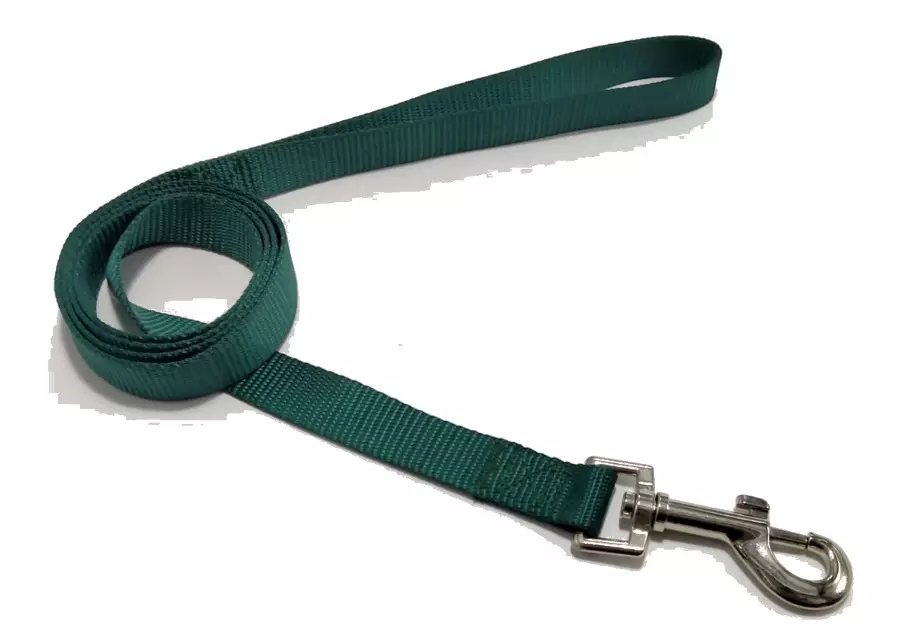 Thumbnail: Paws Rise Basics Leash