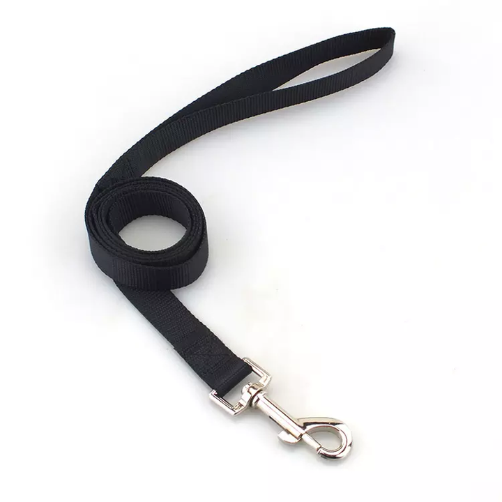 Thumbnail: Paws Rise Basics Leash