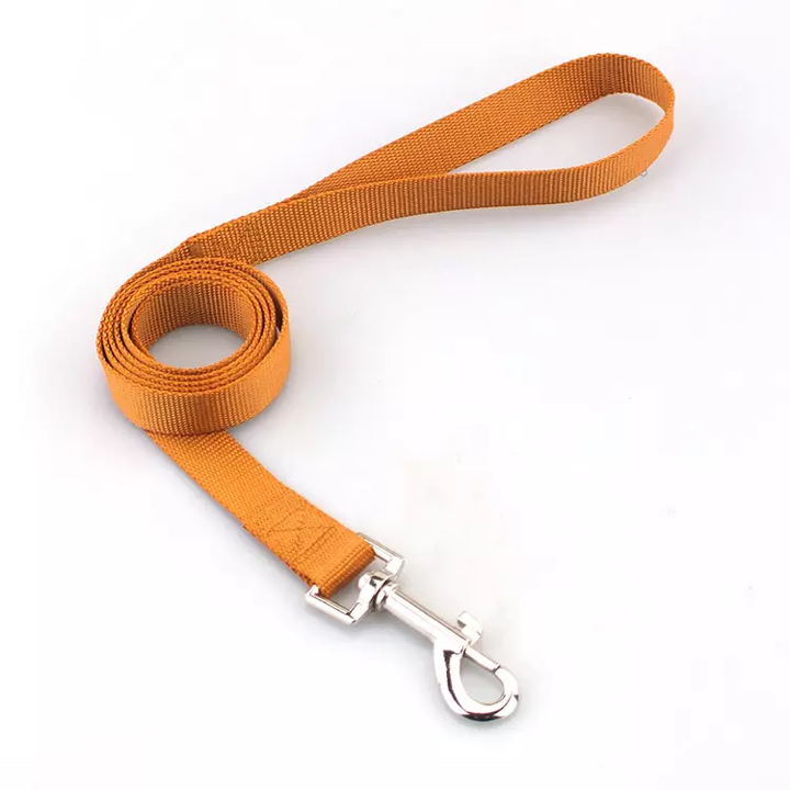 Thumbnail: Paws Rise Basics Leash