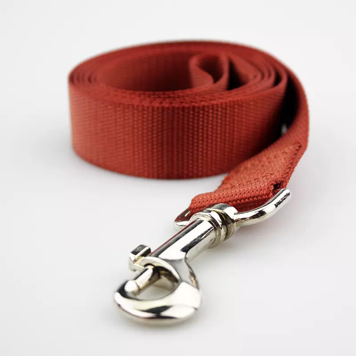 Thumbnail: Paws Rise Basics Leash