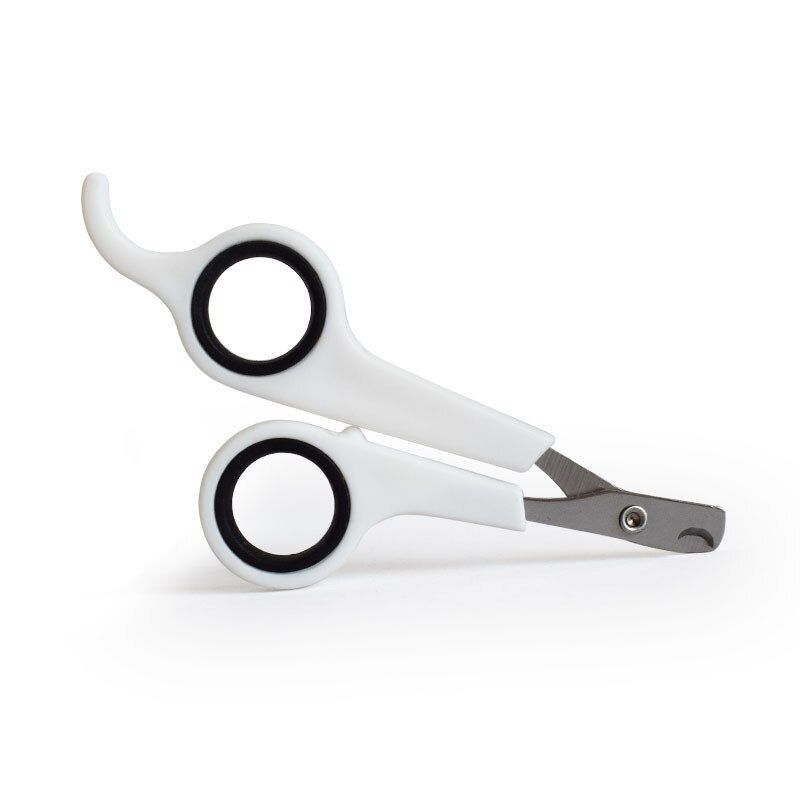 Thumbnail: Paws Rise Grooming  Scissors