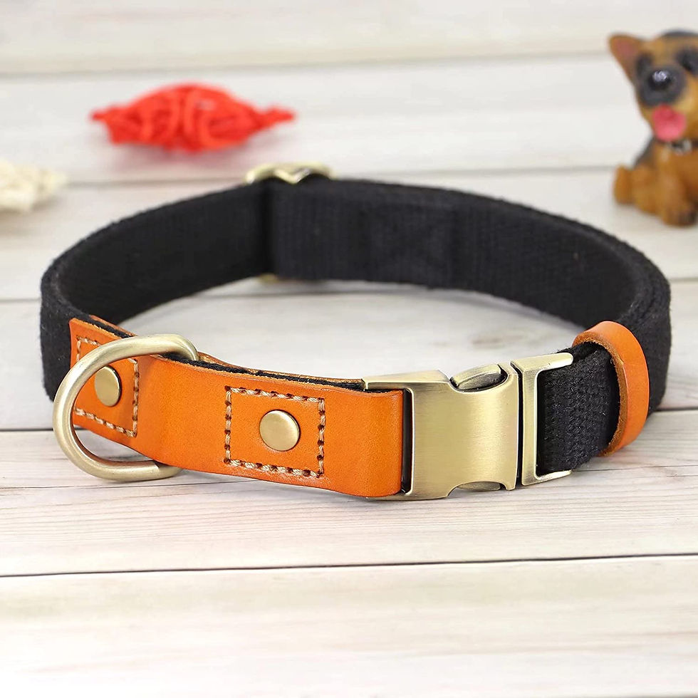 Thumbnail: Paws Rise Fino Vegan Leather Collar