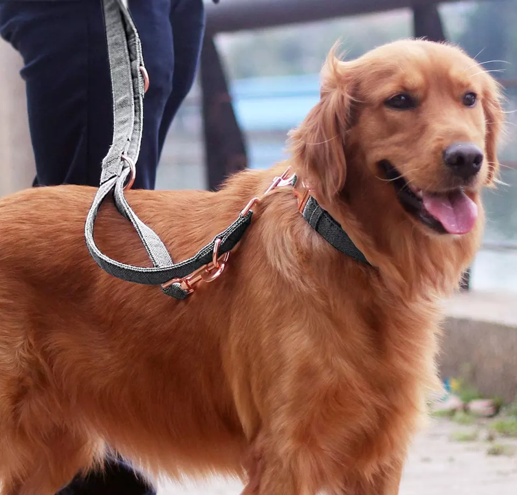 Thumbnail: Paw Rise Elegante collar