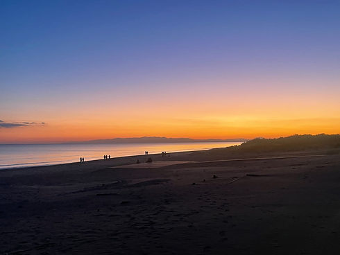 Immagine WhatsApp 2025-02-14 ore 10.38.02_b4050e56.jpg