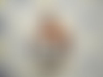 Willis, Davis, Teachers of the Year