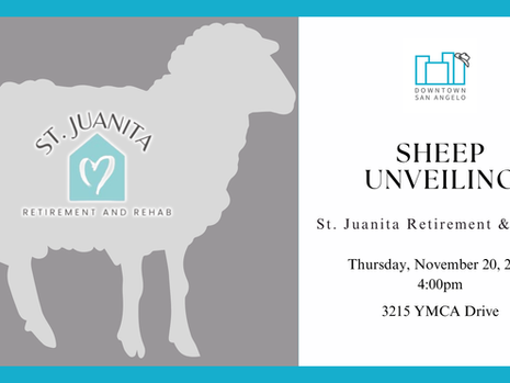 Presentación de la Oveja en el Centro de Rehabilitación y Jubilación St. Juanita