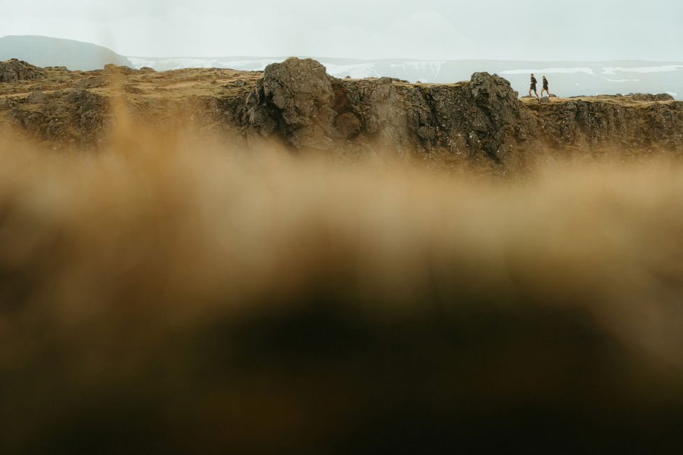 imgi_6_Lexius-TheWhaleRun-0004v2-copy