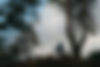 holmer-sandbergen-cyclist-orbea-terra-pine-ridge-2026-rpr.jpg