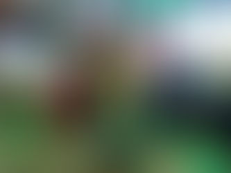 Prefeitura de Tomé-Açu realiza Jornada Pedagógica 2026 para planejamento e formação do ano letivo