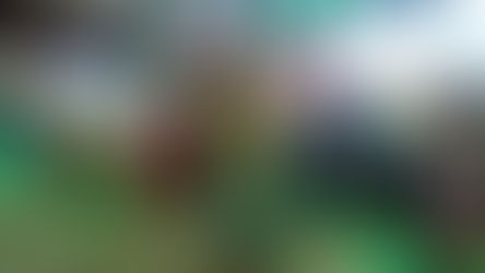 Prefeitura de Tomé-Açu realiza Jornada Pedagógica 2026 para planejamento e formação do ano letivo