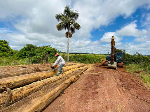 Reconstrução da ponte de madeira no ramal do Km 42